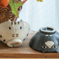 Black And White Cat Bowl, Plate, Mug And Planter