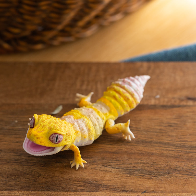 Blind Box Miniature Lizard Figurine