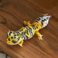 Blind Box Miniature Lizard Figurine