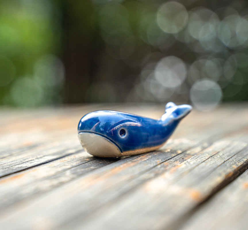 Cute  Seal And Whale Spoon Holder