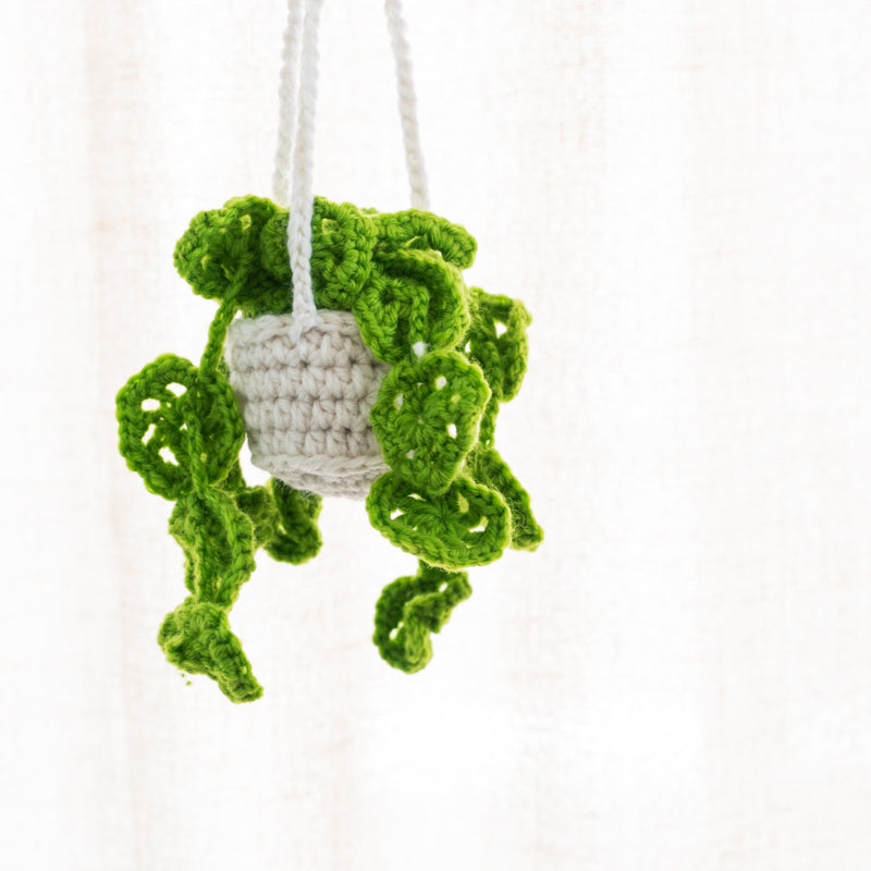 Cute Succulent Car Crochet Plant Decor