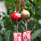 Japanese Lucky Cat Wind Chimes