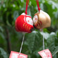 Japanese Lucky Cat Wind Chimes