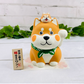 Cute Shiba Money Box