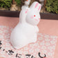 Japanese Cute Rabbit Figurines