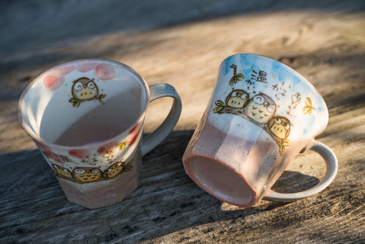 Cute Hand-Painted Owl Mug