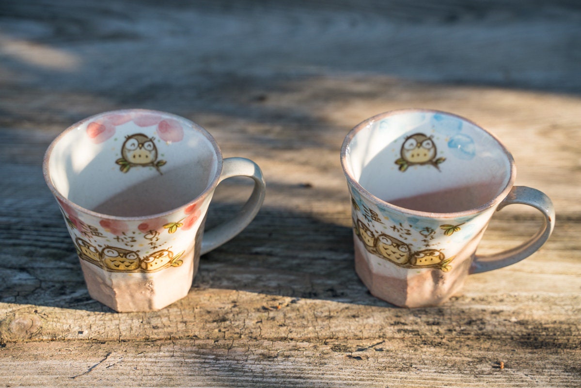 Cute Hand-Painted Owl Mug