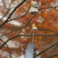 Japanese Cute Shiba Inu Wind Chimes